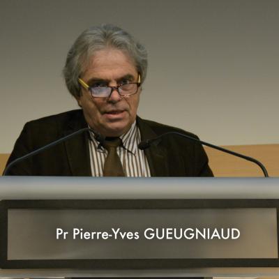 Professeur Pierre-Yves Gueugniaud - Registre RéAC