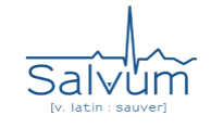 Logo salvum